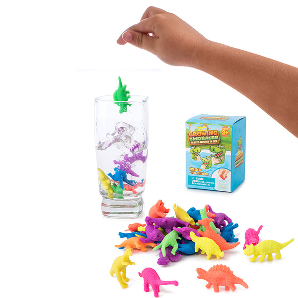 Water Growing Toys