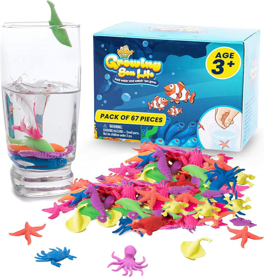 IPIDIPI TOYS Sea Creature Water Growing Toys for Kids – 67-Pack Ocean Party Favors