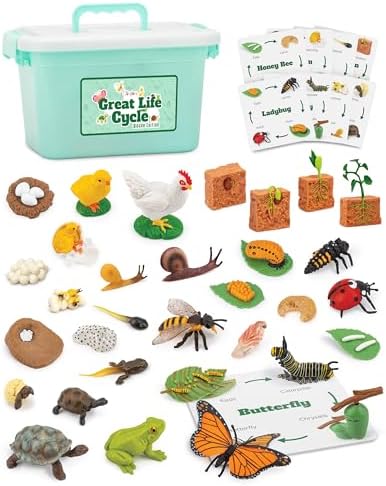 Life Cycle Animal Kit – 32-Piece STEM Science Toy with Matching Game