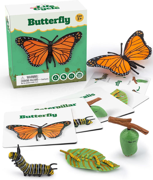 Life Cycle Animal Kit – Montessori Science Toy for Toddlers & Kids