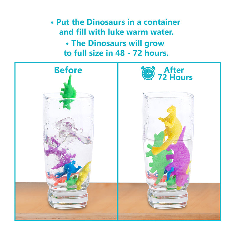 Water Growing Dinosaurs - 32 Pack - Funky Toys